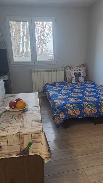 Antiaeriana, Crizantemelor